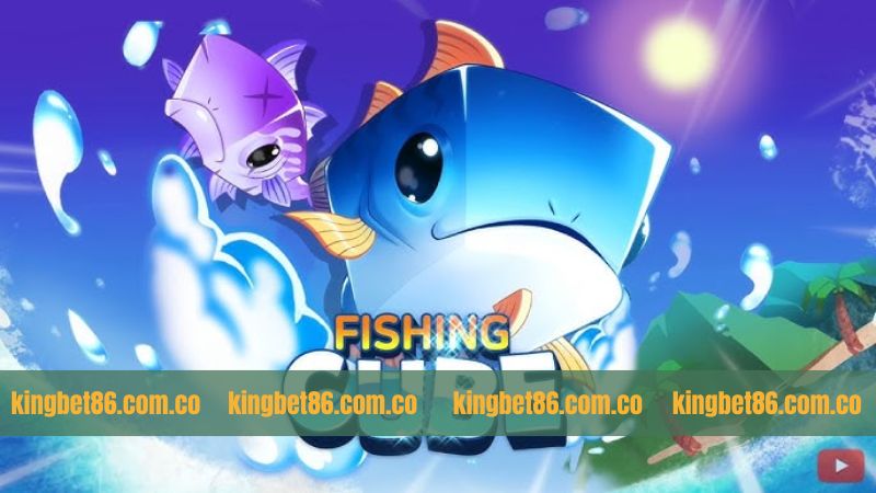 Tổng quan những nét chính về Fishing Cube